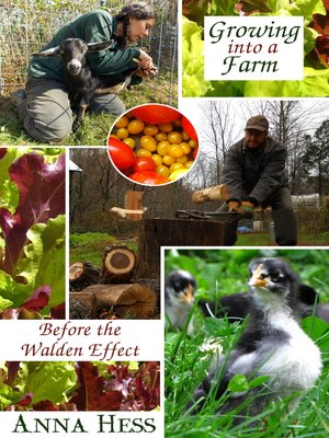 cover image of Growing into a Farm
